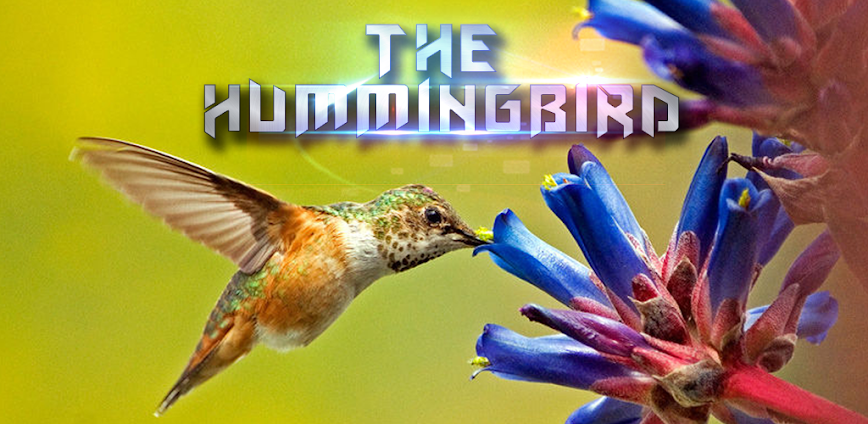 Hummingbird Game APK 1.2.0