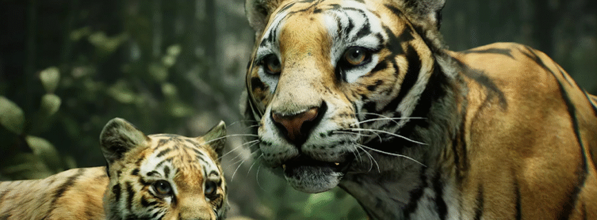 Hunting Sniper Mod APK 3.03.1101 [Unlimited money/Gems]